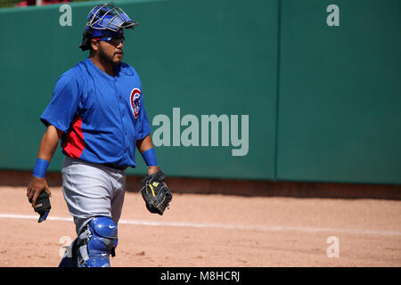 Glendale, Phoenix. USA.- Dioner Navarro receptor de Chicago Cubs en el campo de entrenamiento Camelback Ranch en juego contra White Sox de Chicago.13/03/ Banque D'Images