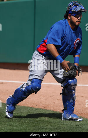 Glendale, Phoenix. USA.- Dioner Navarro receptor de Chicago Cubs en el campo de entrenamiento Camelback Ranch en juego contra White Sox de Chicago.13/03/ Banque D'Images