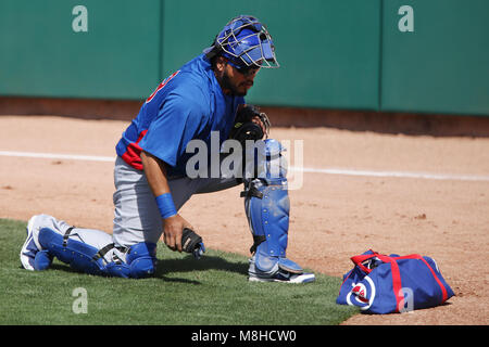 Glendale, Phoenix. USA.- Dioner Navarro receptor de Chicago Cubs en el campo de entrenamiento Camelback Ranch en juego contra White Sox de Chicago.13/03/ Banque D'Images