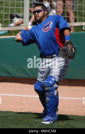 Glendale, Phoenix. USA.- Dioner Navarro receptor de Chicago Cubs en el campo de entrenamiento Camelback Ranch en juego contra White Sox de Chicago.13/03/ Banque D'Images