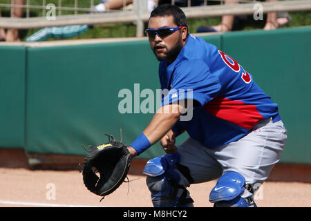 Glendale, Phoenix. USA.- Dioner Navarro receptor de Chicago Cubs en el campo de entrenamiento Camelback Ranch en juego contra White Sox de Chicago.13/03/ Banque D'Images