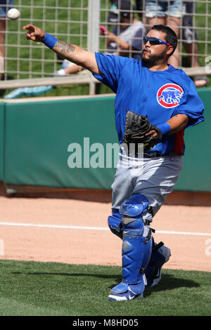 Glendale, Phoenix. USA.- Dioner Navarro receptor de Chicago Cubs en el campo de entrenamiento Camelback Ranch en juego contra White Sox de Chicago.13/03/ Banque D'Images