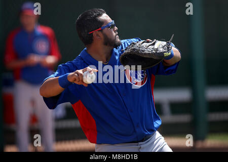 Glendale, Phoenix. USA.- Dioner Navarro receptor de Chicago Cubs en el campo de entrenamiento Camelback Ranch en juego contra White Sox de Chicago.13/03/ Banque D'Images