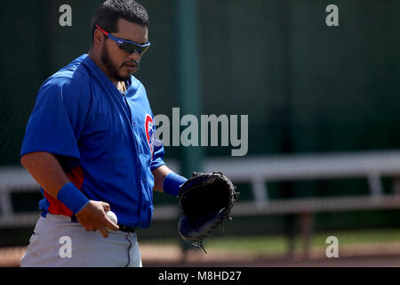 Glendale, Phoenix. USA.- Dioner Navarro receptor de Chicago Cubs en el campo de entrenamiento Camelback Ranch en juego contra White Sox de Chicago.13/03/ Banque D'Images