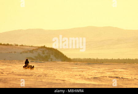 L'Alaska, USA. 7 mars, 2009. L'Iditarod musher et l'équipe de chien près de Unalakleet au coucher du soleil. Credit : Ron Levy/ZUMA/Alamy Fil Live News Banque D'Images