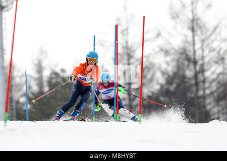 PyeongChang 18 mars . Slalom femmes. Team FR - KNIGHT Millie, Guide : WILD Brett Crédit : Marco Ciccolella/Alamy Live News Banque D'Images