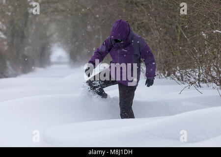 Barnard Castle, comté de Durham. Dimanche 18 mars 2018. Météo britannique. Les combats d'une femme dans la neige profonde et blizzard comme la bête de l'Est 2 bites dur dans le comté de Durham. David Forster/Alamy Live News Banque D'Images