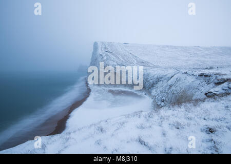 À la tête sur les chauves-souris vers Dorsets Côte Jurassique pendant une tempête de neige bête de l'Est en mars 2018 Vachell Crédit : Owen/Alamy Live News Banque D'Images