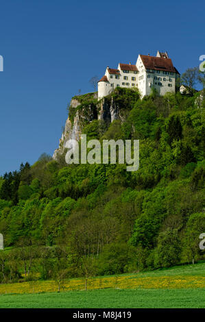 Château de Werenwag près de Beuron dans la Haute vallée du Danube (Oberes Donautal), district de Sigmaringen, Bade-Wurtemberg, Allemagne Banque D'Images