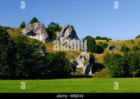 Formation de roches (calcaire) dans le Tal d'Eselsburger, près de Herbrechtingen, dans les Alpes souabe, dans le district de Heidenheim, dans le Bade-Wurtemberg, en Allemagne Banque D'Images