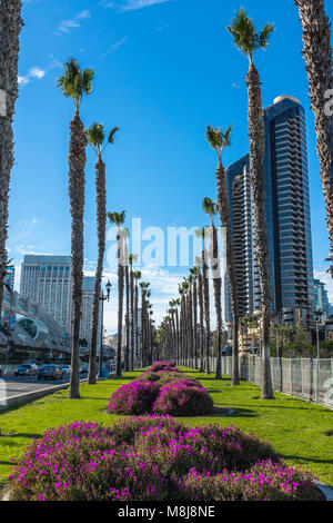 SAN DIEGO, Californie, USA - de hauts palmiers et jardins colorés à Martin Luther, Promenade dans le quartier Gaslamp de la ville. Banque D'Images