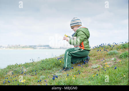 Cute little boy with yellow pissenlit dans sa main sur la pente herbeuse avec fleurs Muscari fleurs de la mer au printemps Banque D'Images