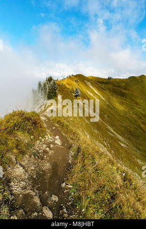 Sentier de randonnée dans le paysage de montagne des Alpes Allgau à la frontière entre l'Allemagne et l'Autriche. Banque D'Images