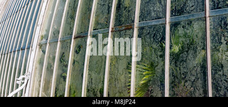 Recueille la condensation à l'intérieur de windows le célèbre Palm House dans les jardins botaniques royaux de Kew Banque D'Images
