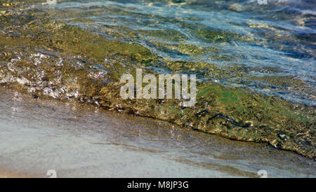 Roulant sur l'onde douce sandy shore Banque D'Images