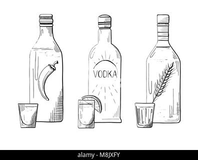 Sketch trois bouteilles de vodka. Le poivre, classique et le blé. Vector illustration Illustration de Vecteur