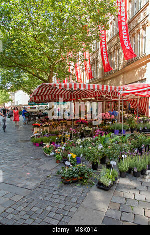 Rue piétonne bordée d'arbres dans la ville bavaroise de Bamberg, avec des arrangements floraux, des boutiques et des cafés. Banque D'Images