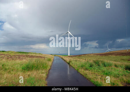 Crystal Rigg Windfarm, Scottish Borders Banque D'Images