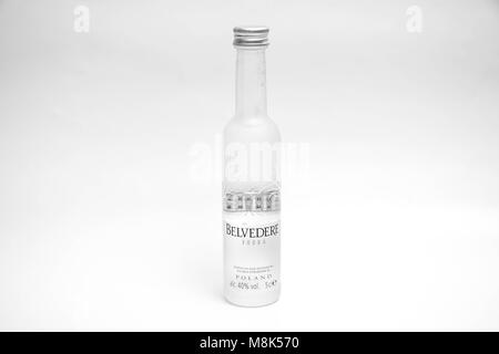 Verre de Vodka Belvédère