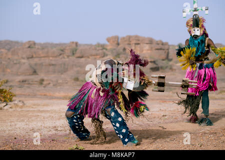 Un homme Dogon rebondissements tout en portant un grand masque et couvre-chef et l'exécution d'une danse tribale traditionnelle. Pays dogon, Mali, Afrique de l'Ouest. Banque D'Images