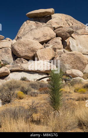 Cap Rock, le parc national Joshua Tree, California, USA Banque D'Images