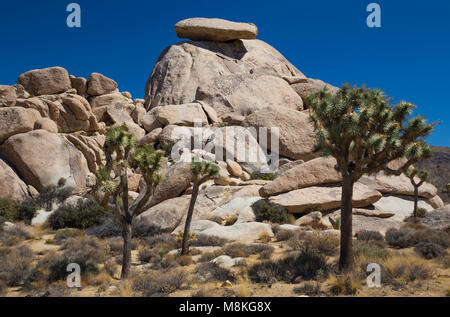 Cap Rock, le parc national Joshua Tree, California, USA Banque D'Images