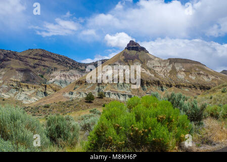 Moutons dans le Rock John Day Fossil jumeaux National Monument. Oregon Banque D'Images