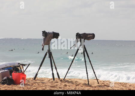 Photographe de surf sur la plage Banque D'Images