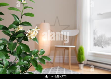 Citronnier en fleurs dans un salon confortable avec une vue sur un paysage d'hiver. Se concentrer sur l'arbre. Banque D'Images