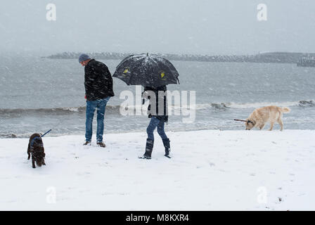 La neige à Lyme Regis,18 mars 2018. Météo France : un couple waking leurs chiens dans la commune de Lyme Regis lutte avec leurs conditions de blizzard parapluie comme la bête de l'Est 2 morsures. Credit : Celia McMahon/Alamy Live News Banque D'Images