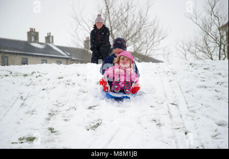 18 mars 2018, 2004/2005, Dorchester, Dorset, Angleterre. Météo britannique. Theo et profiter de la culture du pavot Webber couvrant de neige poudreuse sur le grand champ comme une autre vague de froid, les conditions hivernales à la porte sud-ouest de l'Angleterre. © David Partridge / Alamy Live News Banque D'Images