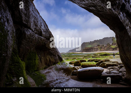 Petite grotte sur la côte de l'Oregon montrant s'étend d'algues et les mares. Otter Rock, Oregon Banque D'Images