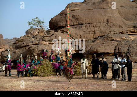 Un groupe de danseurs masqués Dogon regarder un homme portant une coiffe imposante effectuer sa part dans une danse traditionnelle. Pays dogon, Mali, Afrique de l'Ouest. Banque D'Images
