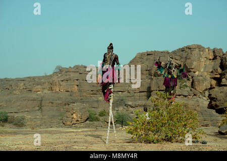 Marcher sur des échasses fait partie de la danse masquée Dogon. Pays dogon, Mali, Afrique de l'Ouest. Banque D'Images