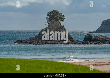 Rock à Tauranga Bay, île du Nord, Nouvelle-Zélande Banque D'Images