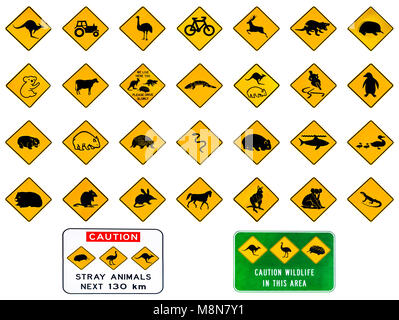Avertissement La signalisation routière australienne de l'Australie des autoroutes. La faune Les animaux : l'UEM, l'Échidné, Diable de Tasmanie, Wombat, kangourou, Penguin, requin, Rat Snake Canards Deer reptiles et de véhicules. Isolé sur blanc. Banque D'Images