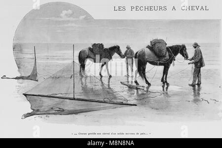 La pêche de crevettes à cheval traditionnelle, Photo de l'hebdomadaire français journal l'illustration, 1er décembre 1900 Banque D'Images