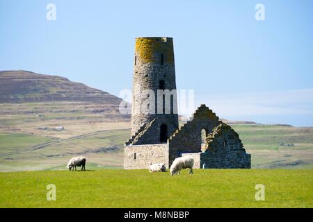 Église Saint Saint Magnus, Egilsay, îles Orcades, en Écosse. 12e ronde scandinave Viking C bell-tower tower Christian Saint Magnus's Chapel Banque D'Images