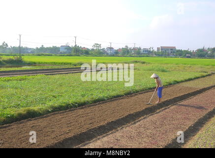 Femme non identifiée en râtelant préparer le sol sur le champ de légumes tôt le matin à Hoi An Vietnam Banque D'Images