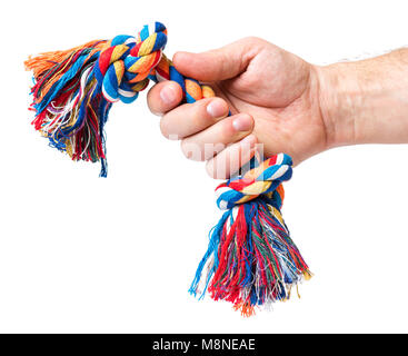 Hand holding Dog Toy - animal accessoires de jeux, isolé sur fond blanc avec copie espace Banque D'Images