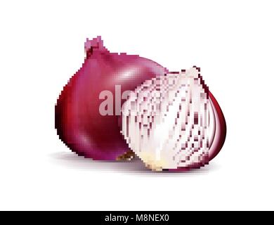 Total Frais de vecteur et de Tranches d'oignon rouge bulbes Close up isolé sur fond blanc Illustration de Vecteur