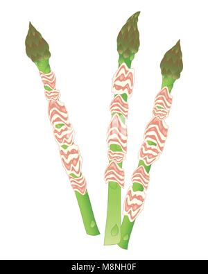Un vecteur illustration en format eps 10 de trois lances d'asperges enveloppé dans du jambon pour un délicieux apéritif sur un fond blanc Illustration de Vecteur