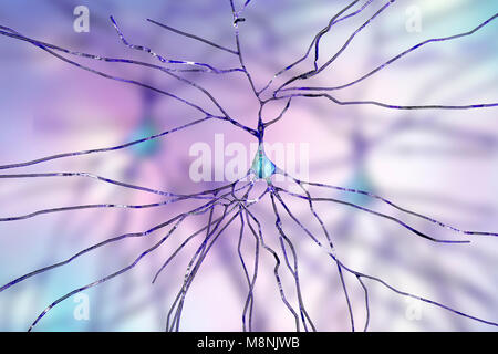 Les cellules nerveuses. Illustration d'ordinateur de cellules nerveuses, ou neurones. Banque D'Images