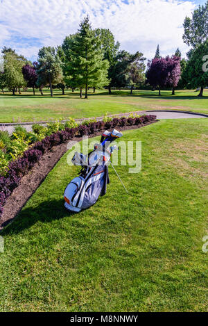 Les clubs de golf et voiturette de golf sur l'herbe dans un club de golf, des arbres colorés et une pelouse verte à l'arrière-plan Banque D'Images