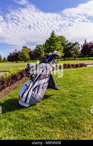 Bâtons de golf et voiturette de golf sur l'herbe dans un club de golf, des arbres colorés et une pelouse verte à l'arrière-plan Banque D'Images