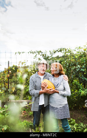 Senior couple jardinage dans le jardin. Banque D'Images