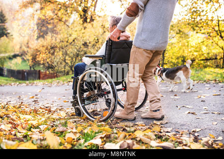 Man and Woman in wheelchair en automne la nature. Banque D'Images