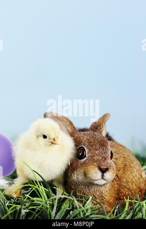 Peu de blanc et jaune poussin de Pâques par permanent et adorable lapin marron en résine. L'extrême profondeur de champ. Banque D'Images