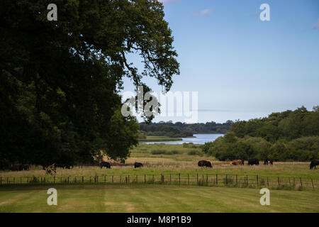 Paysage dans l'East Yorkshire Banque D'Images