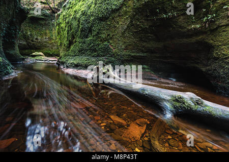 Glen Finnich gorge, également connu sous le nom de Devil's Pulpit près de Killearn, Ecosse, Royaume-Uni Banque D'Images